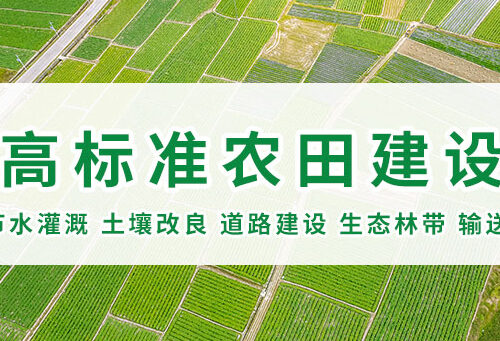 高标准农田方案